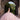 Ava Quinceañera Dress Morilee