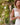Style Guide: Lovely In Lace