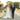 Featured Morilee Bride: Allie