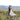 Featured Morilee Bride: Morgan