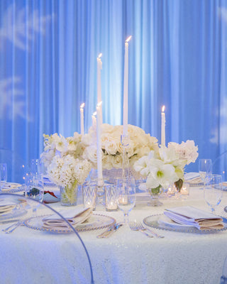 A Winter Wonderland Quinceañera