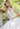 Pierette, Style 2044Pierette, Style 2044