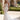 Paisley Wedding Dress Morilee