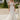 Persephone Wedding Dress Morilee