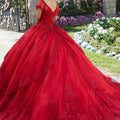 Princess Tulle and Glitter Tulle Quinceañera Dress Morilee