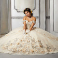 Princess Tulle Floral Quinceañera Dress