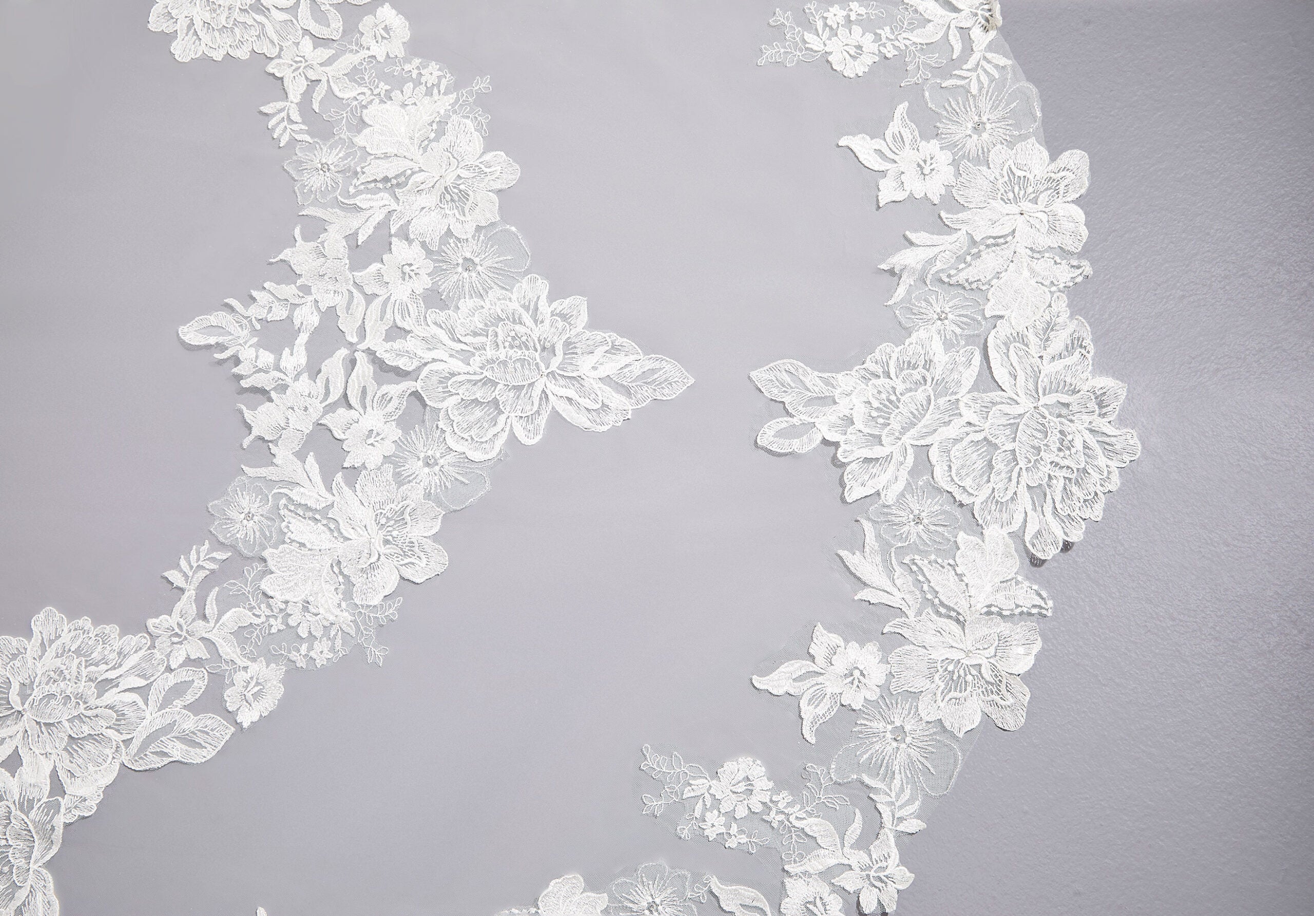 Veil Edged with Lace Madeline Gardner