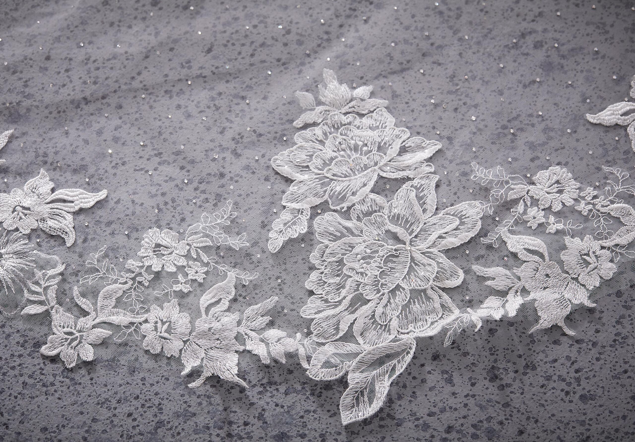Cathedral Length Lace Veil Lightly Beaded with Rhinestones Madeline Gardner