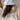 Zelie Wedding Dress Morilee