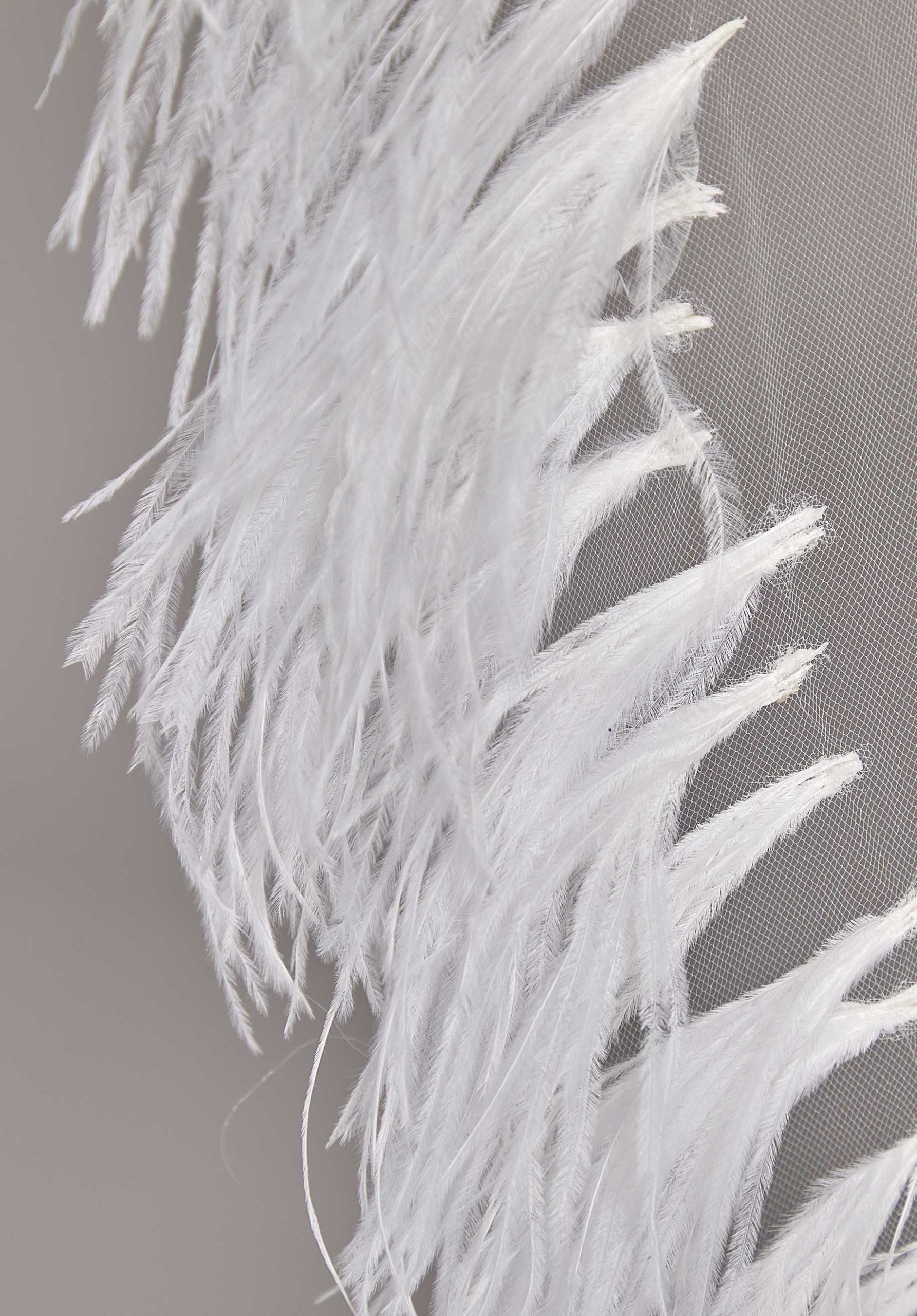Feather Edged Cathedral Length Veil Madeline Gardner