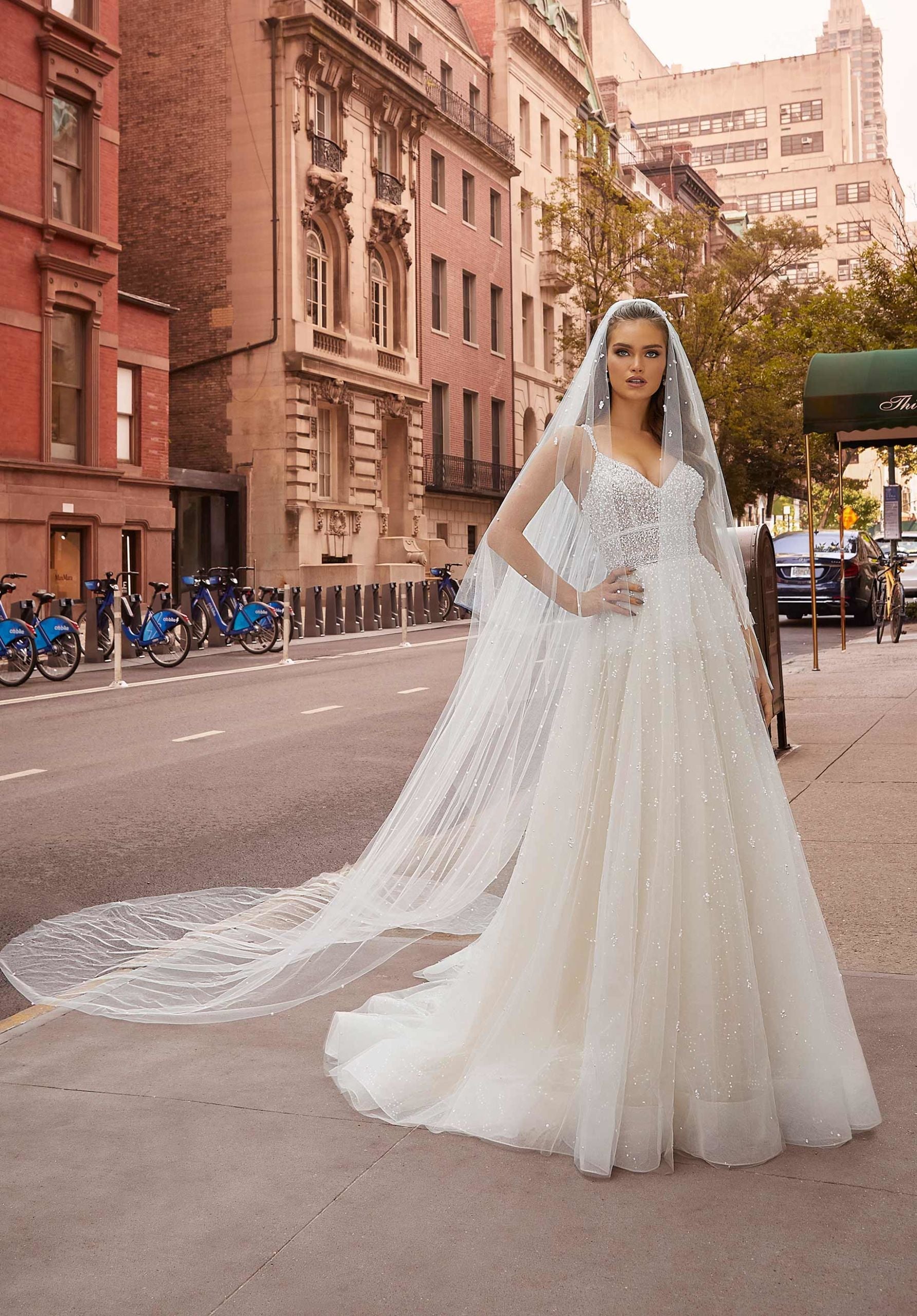 Cathedral Length Veil with Pearls Madeline Gardner