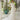 Graciela Wedding Dress Madeline Gardner