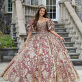 Metallic Lace and Patterned Glitter Quinceañera Dress