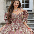 Metallic Lace and Patterned Glitter Quinceañera Dress