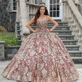 Metallic Lace and Patterned Glitter Quinceañera Dress
