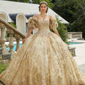 Metallic Lace and Patterned Glitter Quinceañera Dress