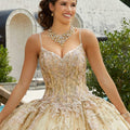 Metallic Lace and Patterned Glitter Quinceañera Dress