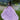 Rhinestone Quinceañera Dresds with Floral Organza Embroidery Morilee