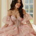 Three-Dimensional Floral Metallic Embroidered Quinceañera Dress with Waterfall Back Skirt Morilee