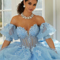 Three-Dimensional Floral Metallic Embroidered Quinceañera Dress with Waterfall Back Skirt Morilee