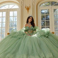 Three-Dimensional Floral Metallic Embroidered Quinceañera Dress with Waterfall Back Skirt Morilee