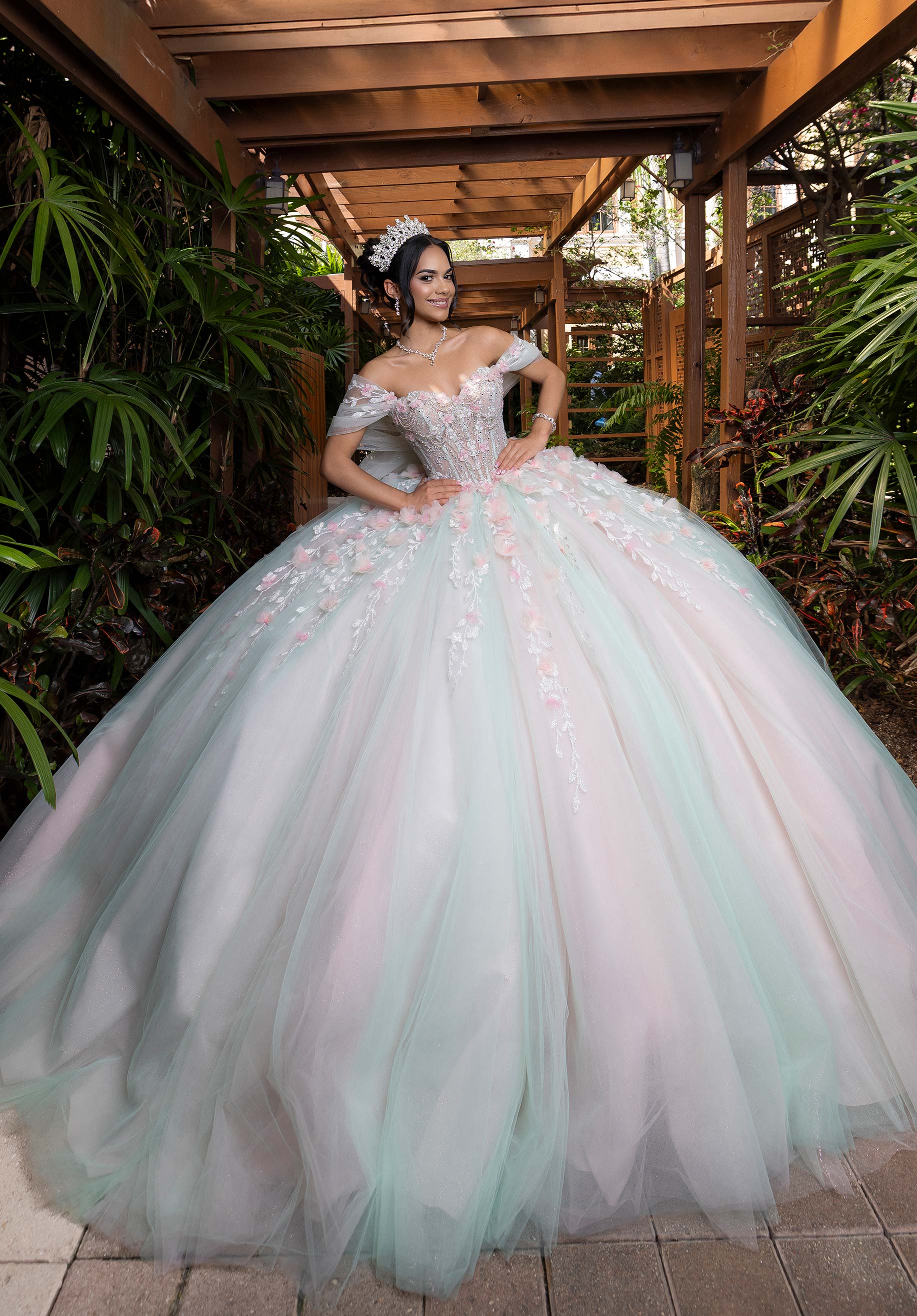 Blake Quinceañera Dress