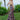 Multicolor Floral Sequin Fit and Flare Prom Dress Morilee