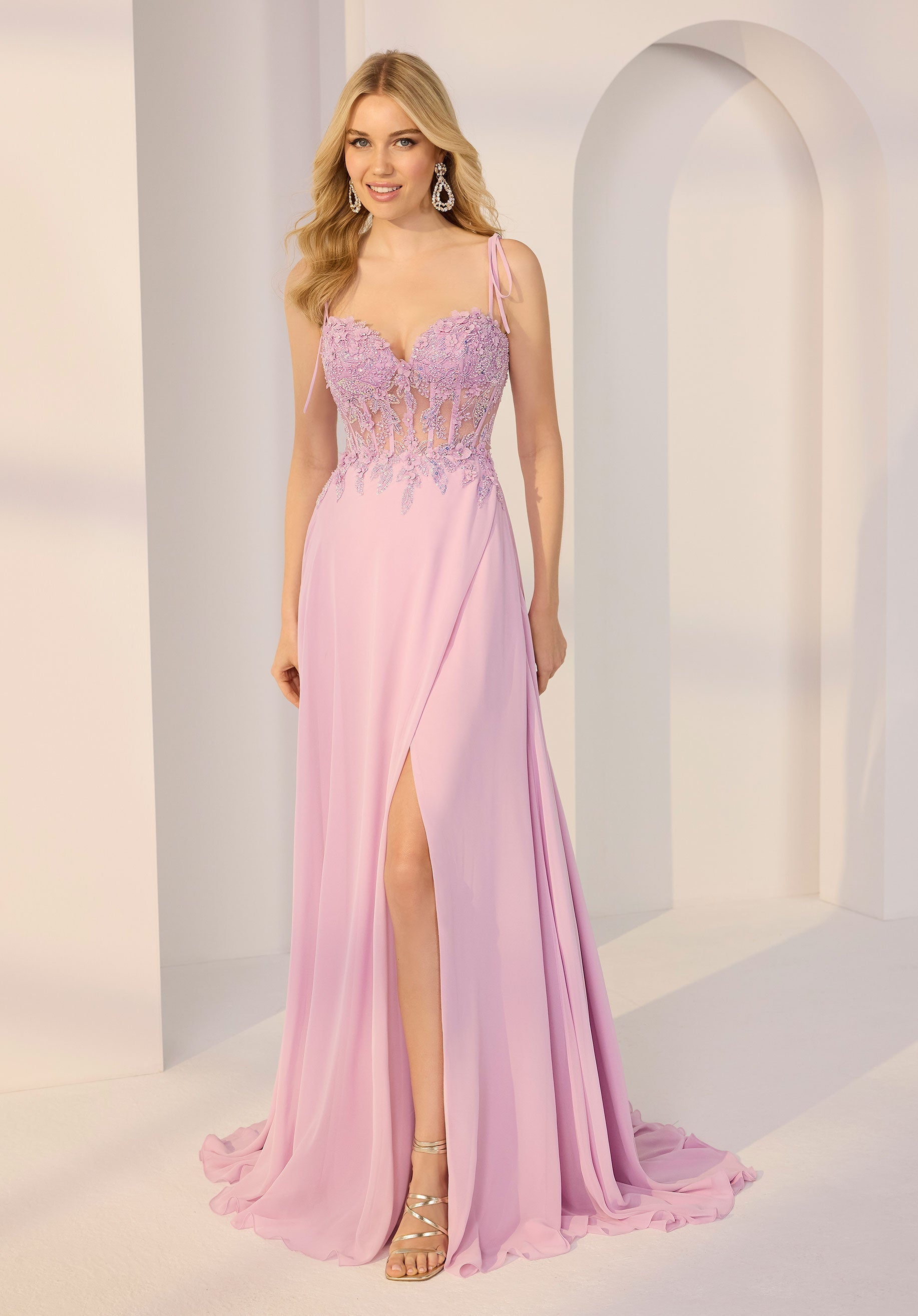 Sheer Beaded Lace and Chiffon A-Line Party Dress