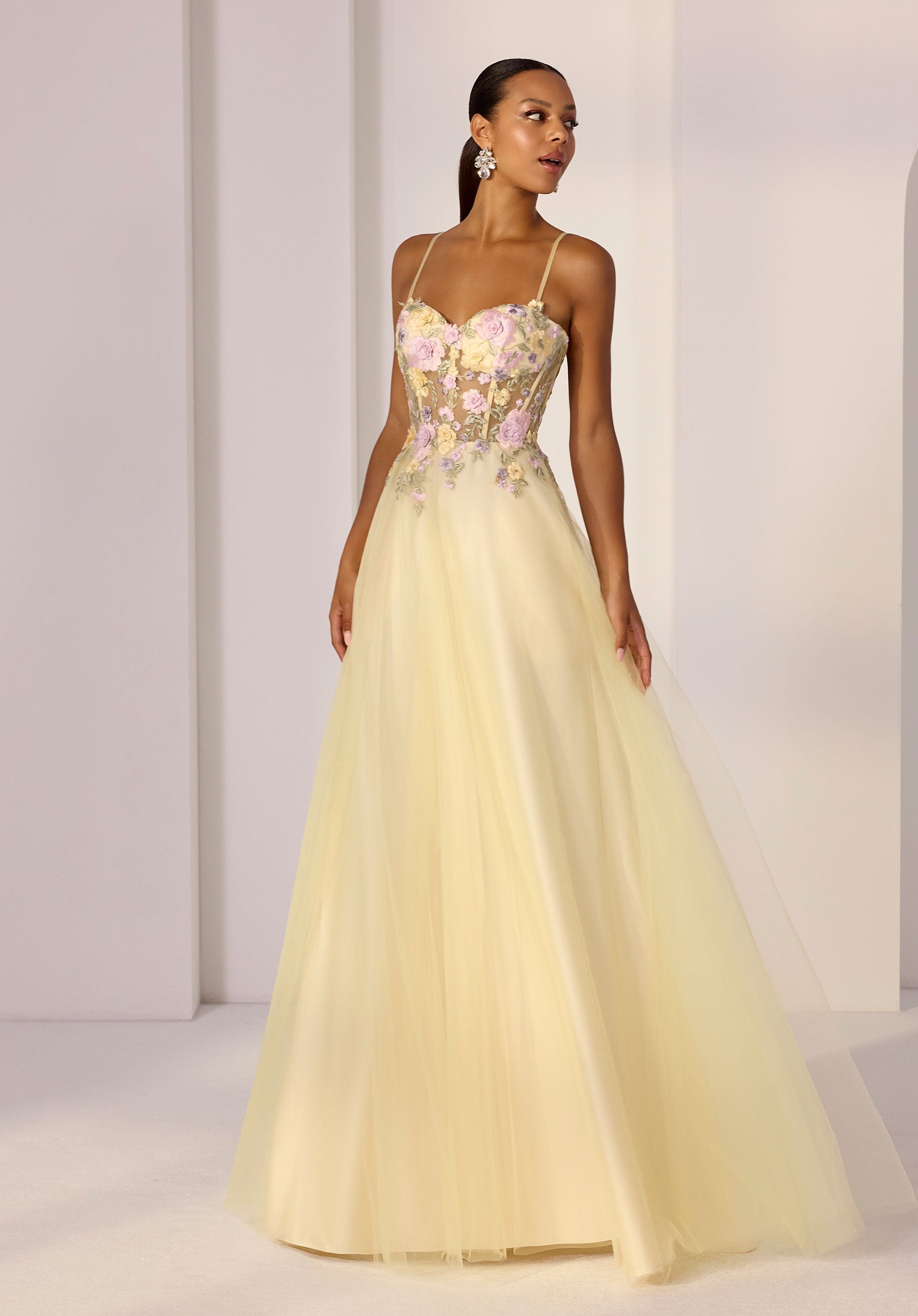 Threadwork Floral Embroidered Sheer Corset A-Line Party Dress