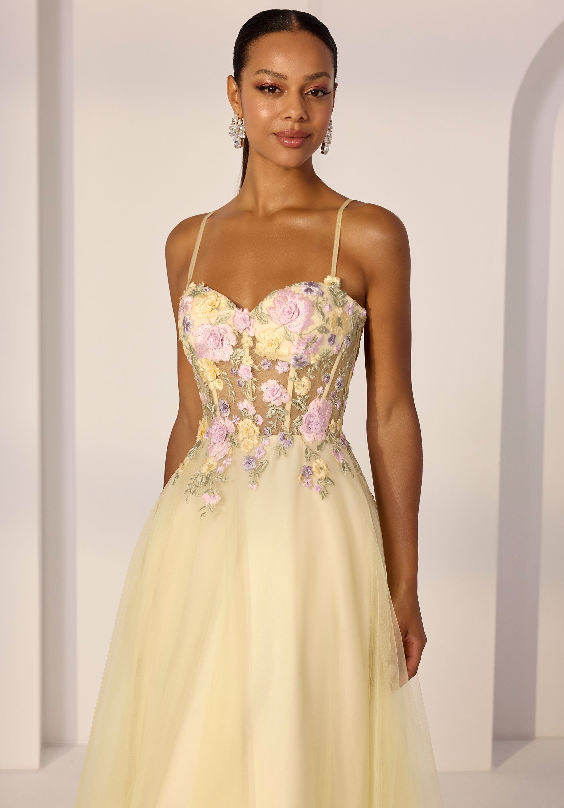 Threadwork Floral Embroidered Sheer Corset A-Line Party Dress