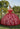 Sparkle Tulle and Floral Embroidered Quinceañera Dress Morilee