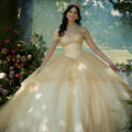 Rhinestone and Patterned Glitter Quinceañera Dress with Skirt Overskirt Morilee