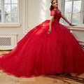 Sparkle Tulle Quinceañera Dress with Sheer Bodice and Three-Dimensional Florals Morilee