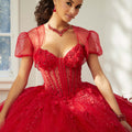 Sparkle Tulle Quinceañera Dress with Sheer Bodice and Three-Dimensional Florals Morilee