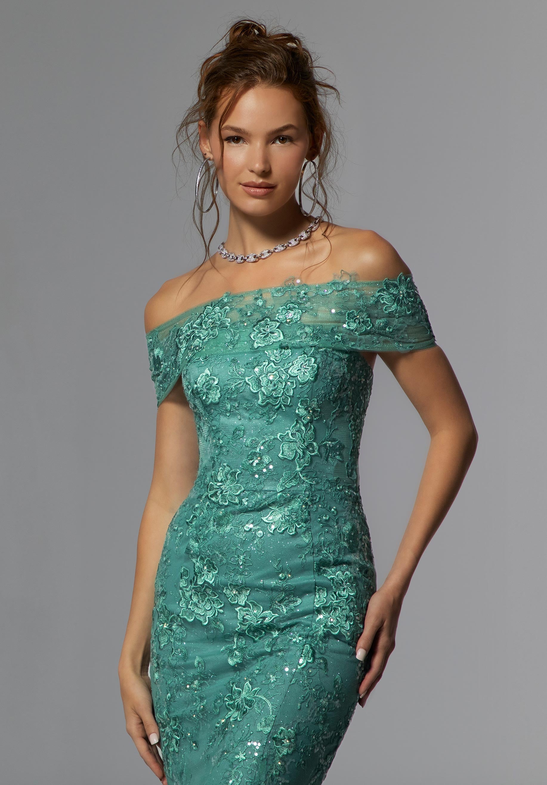 Frosted Embroidered Net Evening Gown with Crystal Beading Morilee