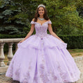 Three-Dimensional Floral Quinceañera Dress with Flounced Overskirt