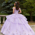 Three-Dimensional Floral Quinceañera Dress with Flounced Overskirt