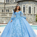 Patterned Glitter Tulle Quinceañera dress with Bishop Sleeves