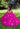Crystal Beaded Three-Dimensional Embroidered Sparkle Tulle Quinceañera Dress Morilee