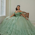Three-Dimensional Floral Lace Quinceañera Dress on a Flounced Skirt Morilee