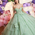 Asymmetrically Tiered Quinceañera Dress with Three Dimensional Florals Morilee